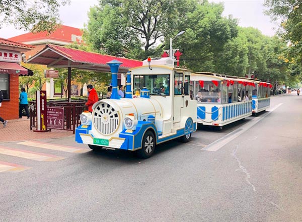 綠爵電動(dòng)觀(guān)光火車(chē)